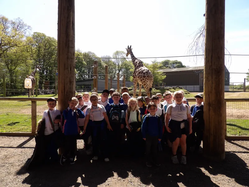 Y3 Yorkshire Wildlife Park Trip - image 22
