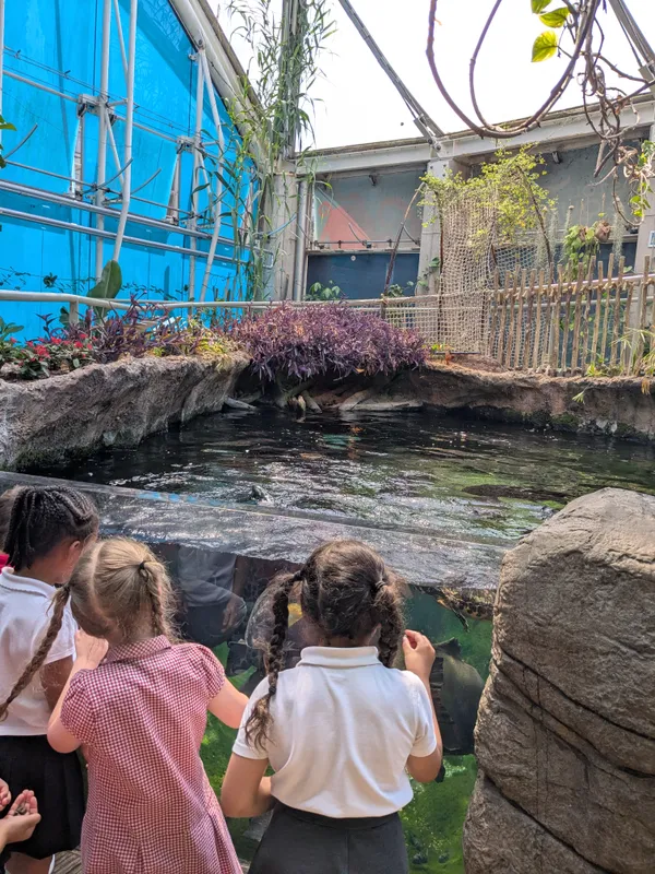 FS Bristol Aquarium visit - image 4