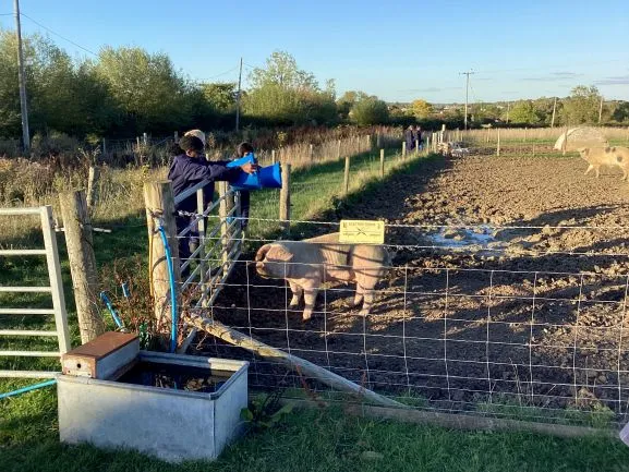 Farm Trip 25 - Gallery 2 - image 31