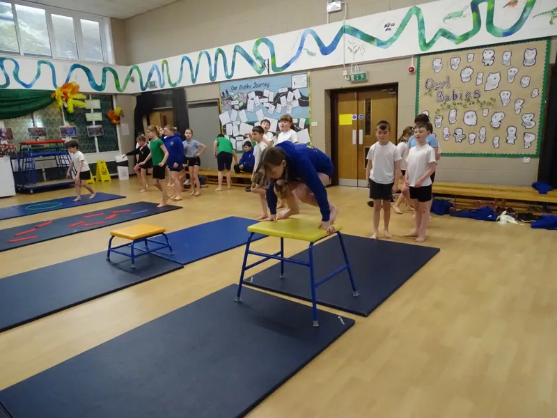 Ospreys Gymnastics Skills - image 1 Ospreys Gymnastics Skills - image 1