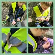 Forest School 37 - image 3 Forest School 37 - image 3