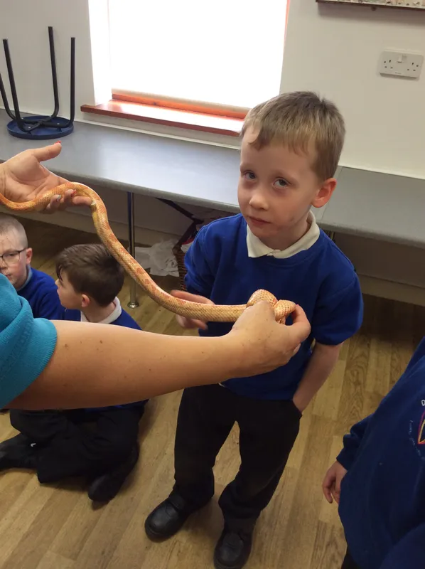 Gallery - created at 2024-02-26 17:15:57 - image 49 Gallery - created at 2024-02-26 17:15:57 - image 49