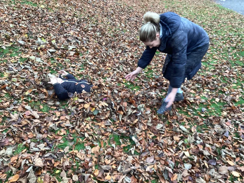 Gallery - created at 2024-11-08 10:10:59 - image 27 Gallery - created at 2024-11-08 10:10:59 - image 27