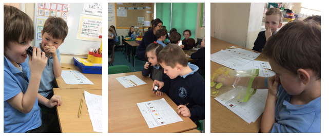 Testing our senses