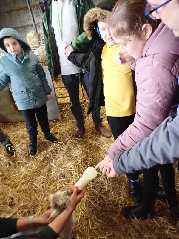 Yellow Class Trip to Woolmers' Farm 2026 - image 4