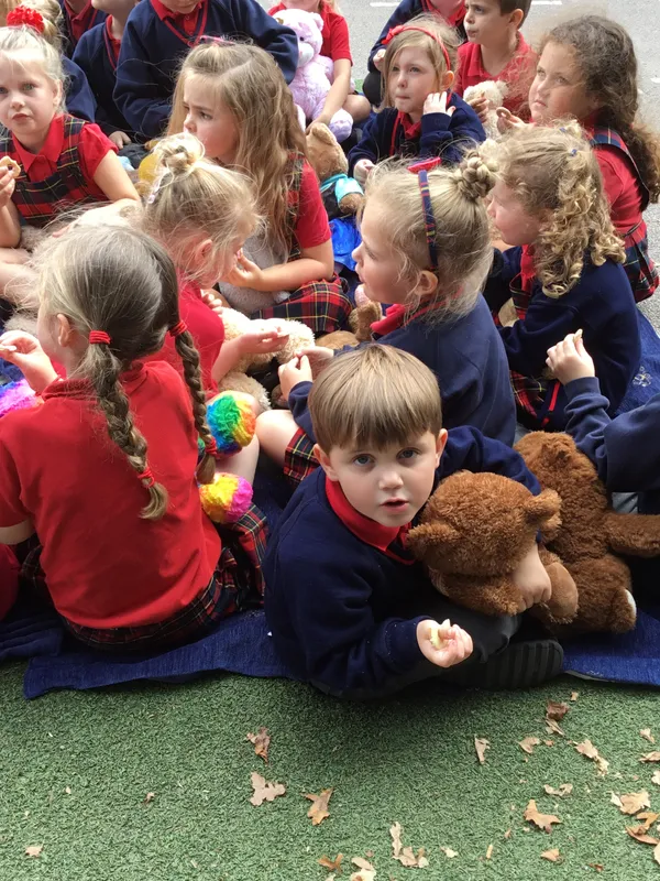 Gallery - created at 2021-09-22 16:04:08 - image 4