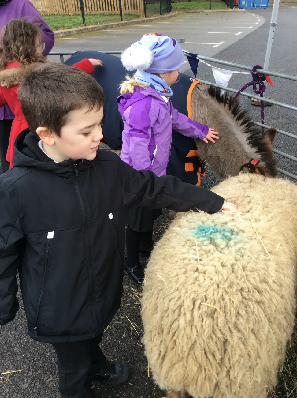 Gallery - created at 2023-03-03 16:33:51 - image 2