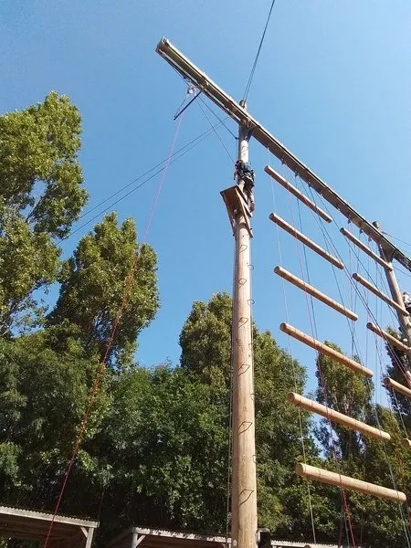 Group 1 - Trapeze - image 11