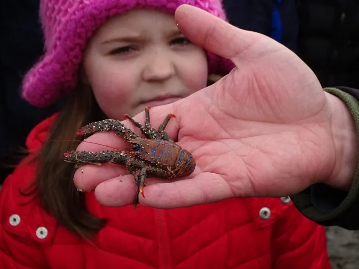 Gallery - created at 2018-07-14 11:58:55 - image 41 Gallery - created at 2018-07-14 11:58:55 - image 41