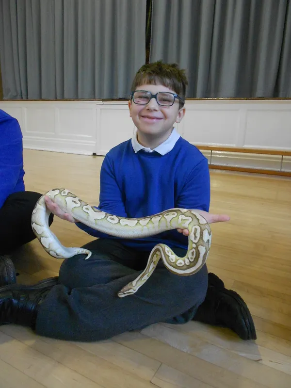 Y6 Reptile Rendezvous - image 60