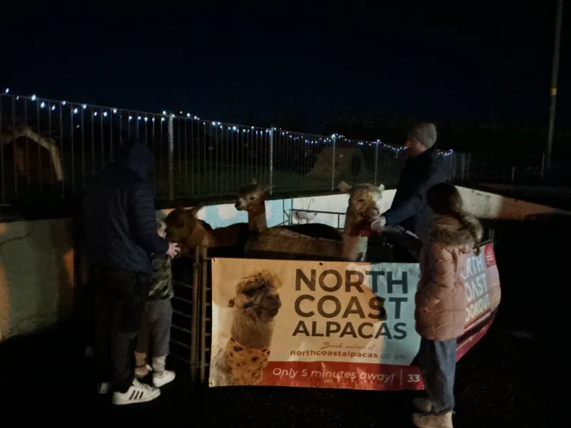 Christmas Fair 2025 - image 14 Christmas Fair 2025 - image 14