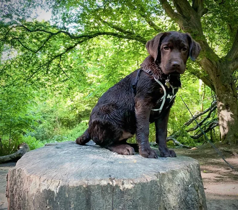 Gallery - created at 2021-06-30 13:57:57 - image 6