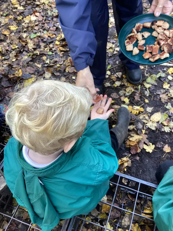 cooking sausages 25 - image 1 cooking sausages 25 - image 1