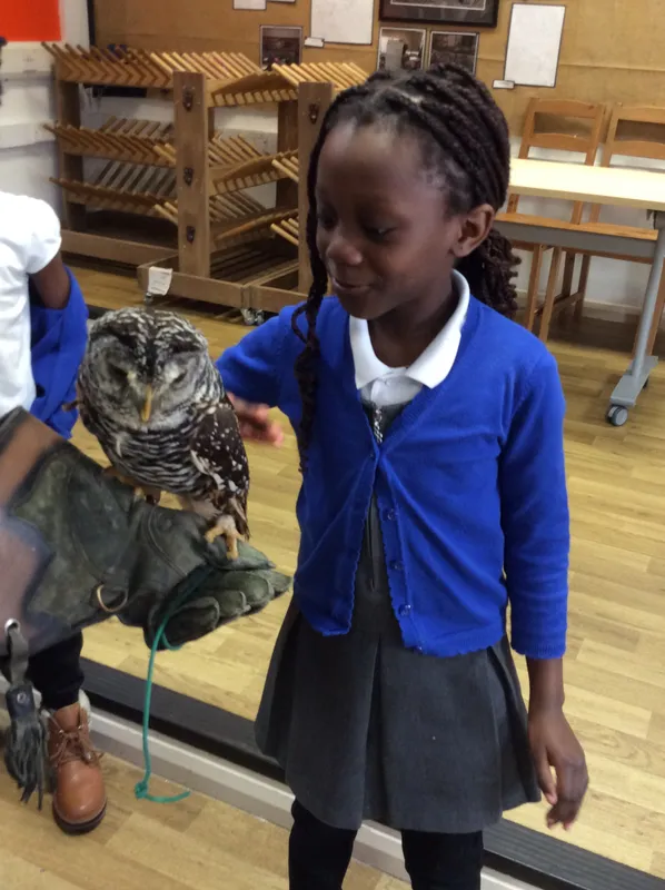 Gallery - created at 2024-02-26 17:15:57 - image 21 Gallery - created at 2024-02-26 17:15:57 - image 21