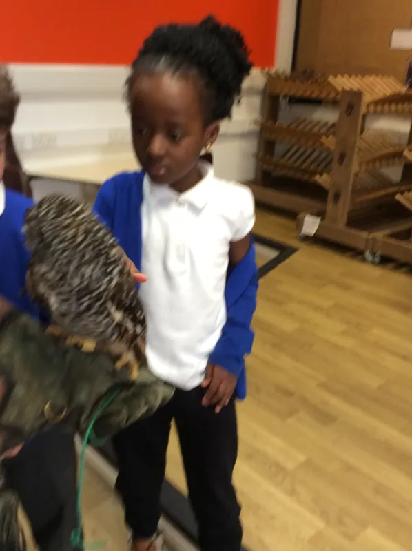 Gallery - created at 2024-02-26 17:15:57 - image 20 Gallery - created at 2024-02-26 17:15:57 - image 20