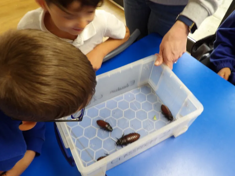 Y3 Yorkshire Wildlife Park Trip - image 47