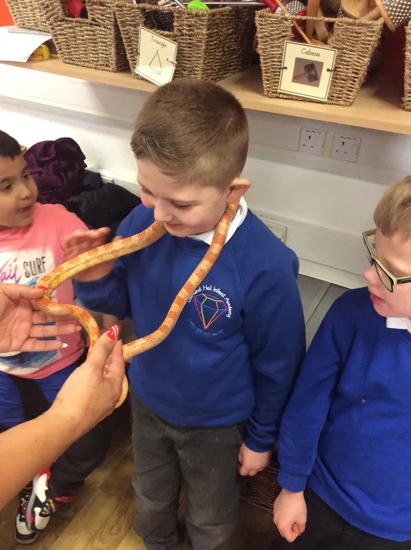 Gallery - created at 2024-03-05 13:52:56 - image 15 Gallery - created at 2024-03-05 13:52:56 - image 15