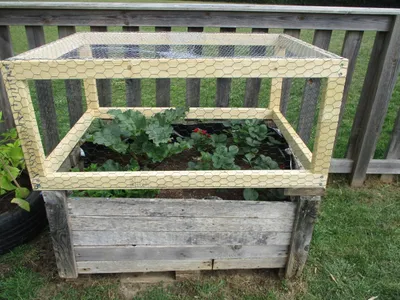 Planters - image 4