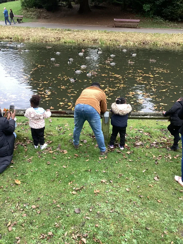 Gallery - created at 2024-11-08 10:10:59 - image 17 Gallery - created at 2024-11-08 10:10:59 - image 17