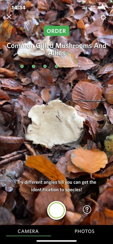 Gallery - created at 2025-11-22 17:18:06 - image 3 Gallery - created at 2025-11-22 17:18:06 - image 3