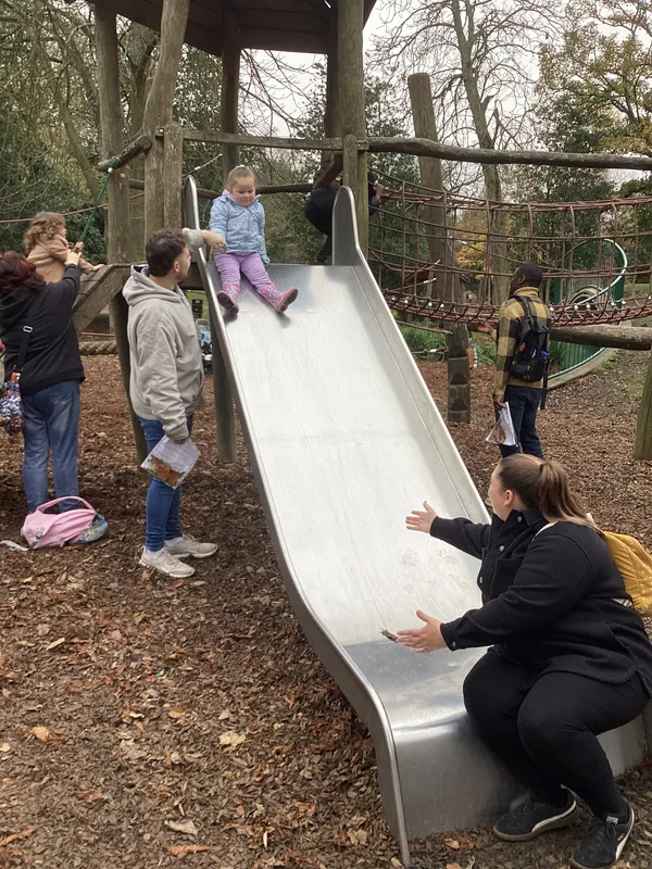 Gallery - created at 2024-11-08 10:10:59 - image 4 Gallery - created at 2024-11-08 10:10:59 - image 4