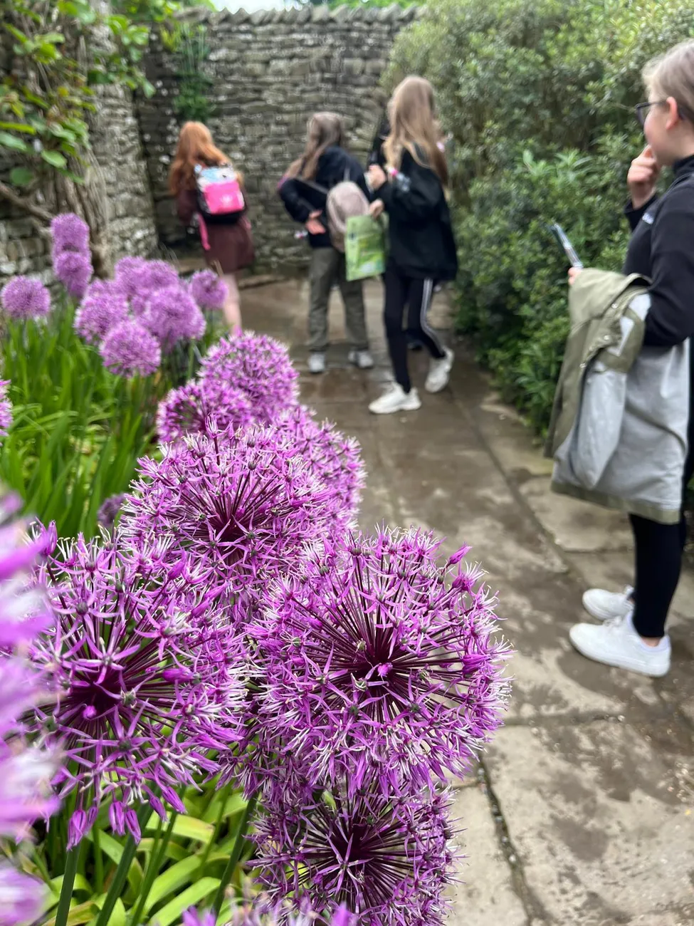 Gallery - created at 2024-06-06 15:19:10 - image 16