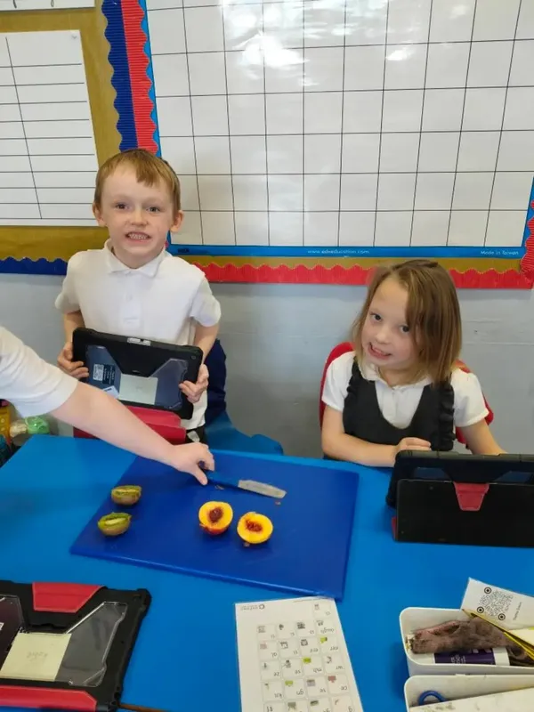 Gallery - created at 2025-05-18 08:27:35 - image 11