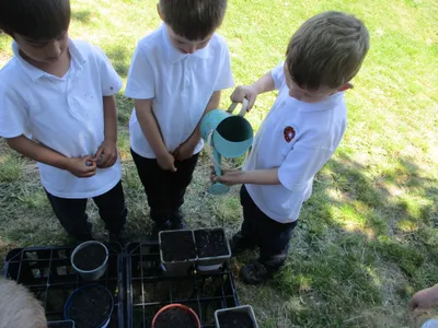Planting - image 33