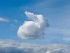 Gallery - created at 2021-01-29 10:54:03 - image 2