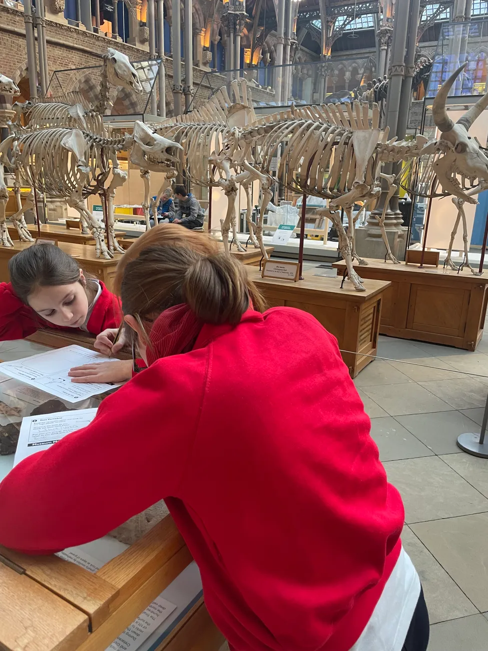 Gallery - created at 2024-02-24 14:03:51 - image 12