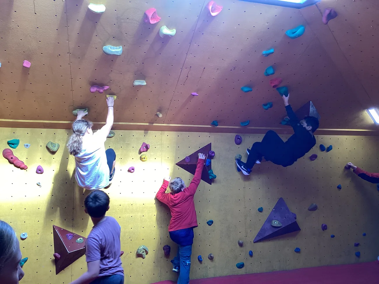 Gallery - created at 2024-09-19 18:43:06 - image 6 Gallery - created at 2024-09-19 18:43:06 - image 6