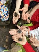 Forest School 65 - image 2 Forest School 65 - image 2