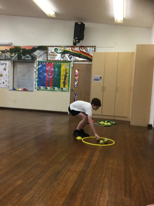 Chestnut net and wall games - image 9