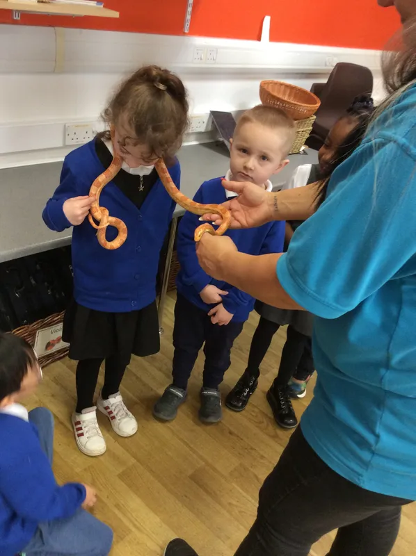 Gallery - created at 2024-02-26 17:15:57 - image 97 Gallery - created at 2024-02-26 17:15:57 - image 97