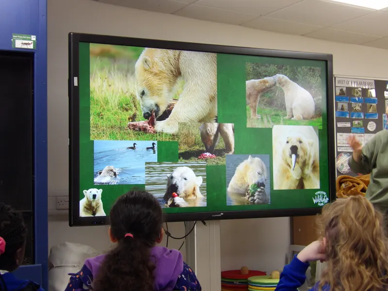 Y3 Yorkshire Wildlife Park Trip - image 37