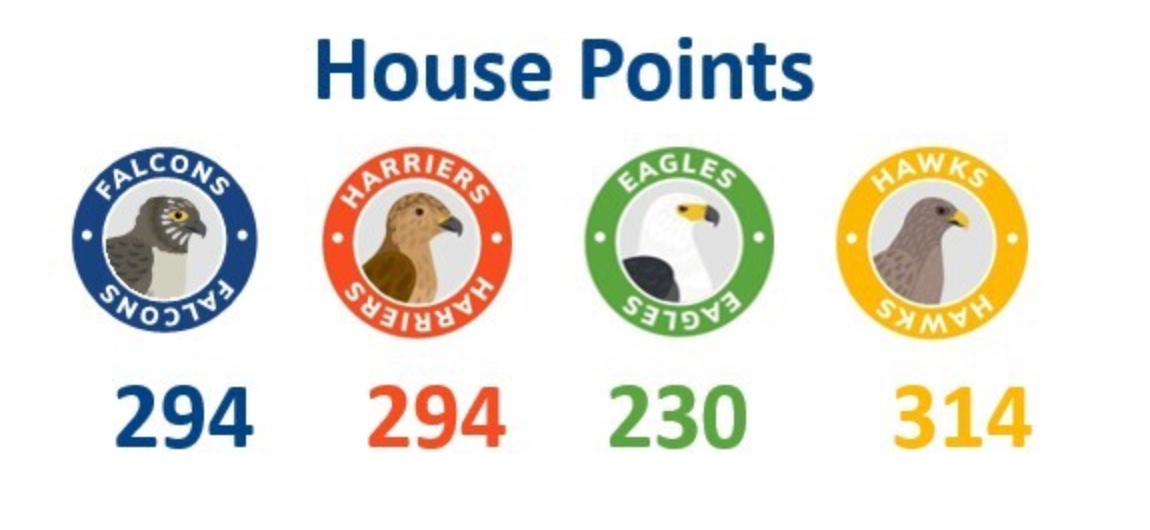 House Points 21st November 2025
