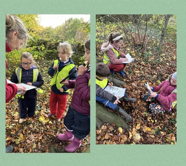 Autumn 2022 - November 2nd - Saplings - World War Planes, Bunkers and Morse Code - image 3 Autumn 2022 - November 2nd - Saplings - World War Planes, Bunkers and Morse Code - image 3