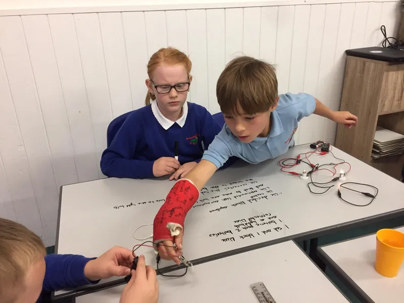 Gallery - created at 2020-10-16 16:45:35 - image 2