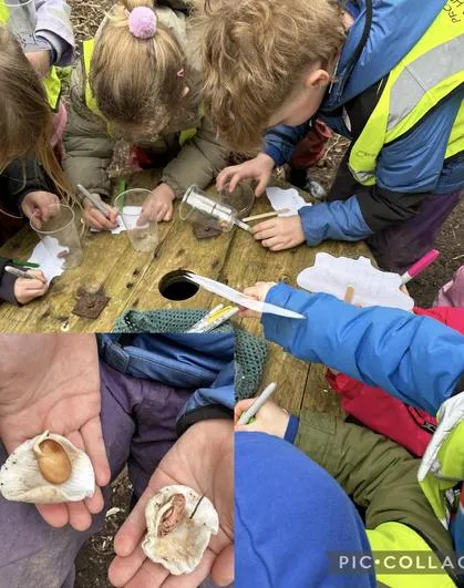 Spring 2024 - 28th February - Acorns - Planting Beanstalks; Planting Bulbs; Making Giant Grass and Cress Heads; Willow Roots; Fire Strikers and Obstacle Courses - image 1 Spring 2024 - 28th February - Acorns - Planting Beanstalks; Planting Bulbs; Making Giant Grass and Cress Heads; Willow Roots; Fire Strikers and Obstacle Courses - image 1