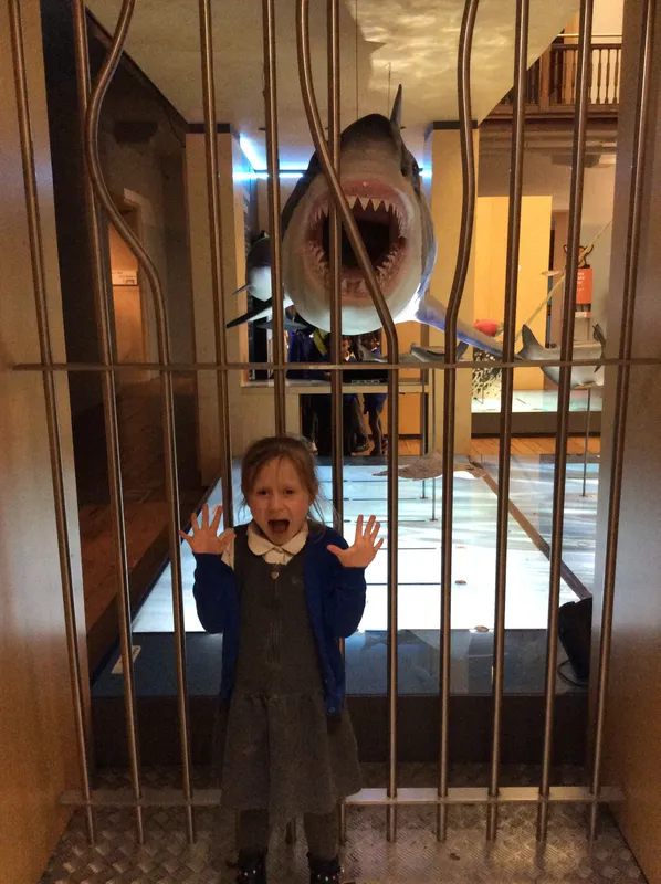 Gallery - created at 2024-02-09 11:53:37 - image 46