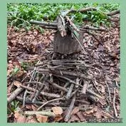 Forest School 12 - image 4 Forest School 12 - image 4