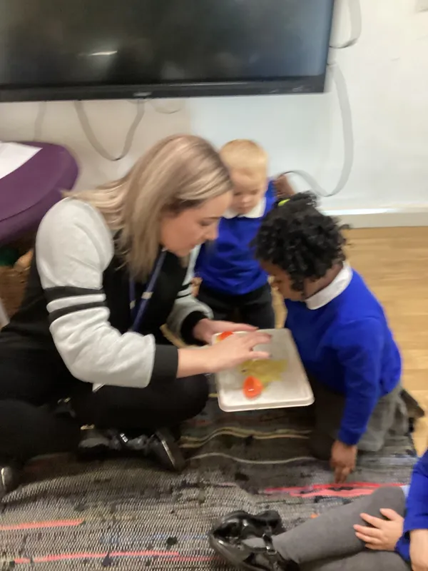 Gallery - created at 2024-10-25 10:58:13 - image 52 Gallery - created at 2024-10-25 10:58:13 - image 52