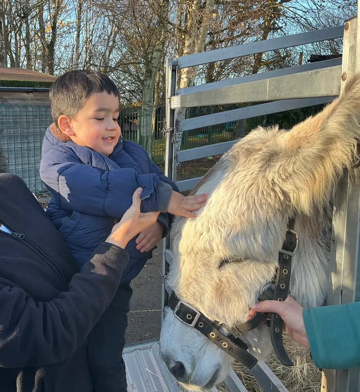 Explorers with Stella on Wheels  - image 21