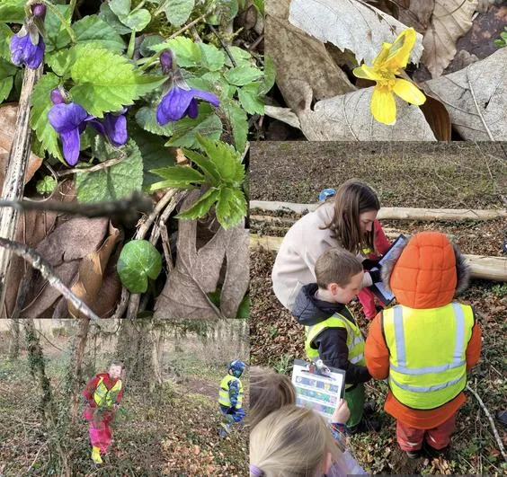 Spring 2023 - March 15th - Acorns - Flowers, Towers and Tarp (with tea!) - Round Robin Session 2 - image 3 Spring 2023 - March 15th - Acorns - Flowers, Towers and Tarp (with tea!) - Round Robin Session 2 - image 3