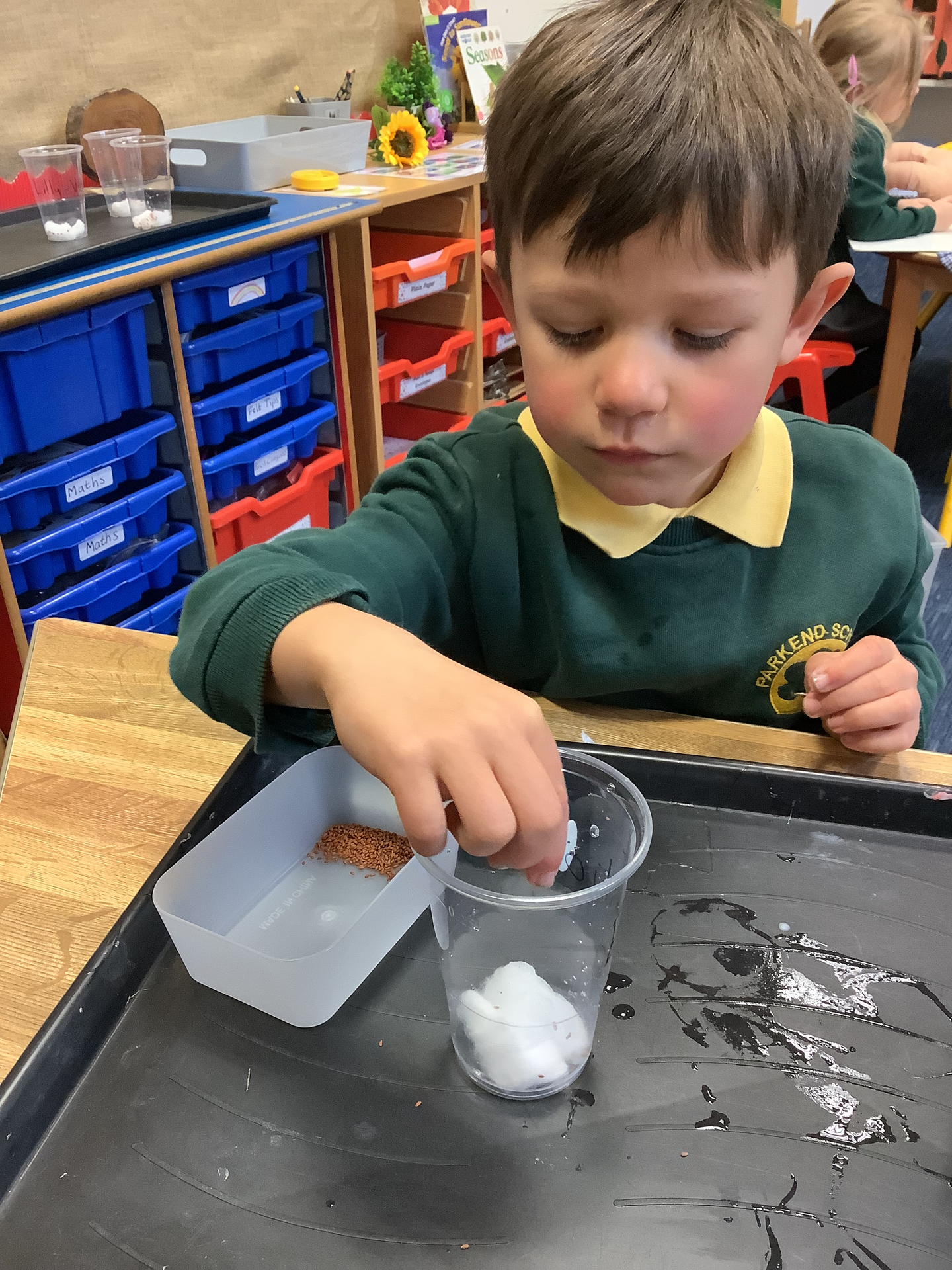 Reception Children Enjoyed Planting Seeds in Different Ways