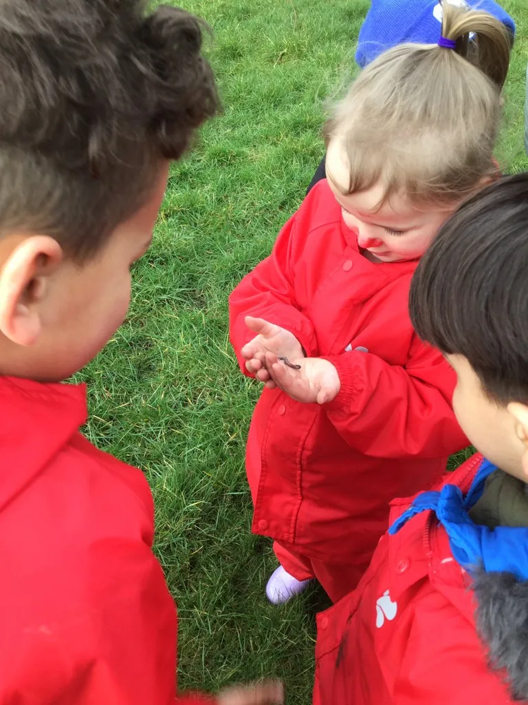 Forest School - image 14