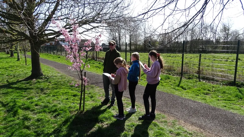Years 5&6 Forest Schools - image 11