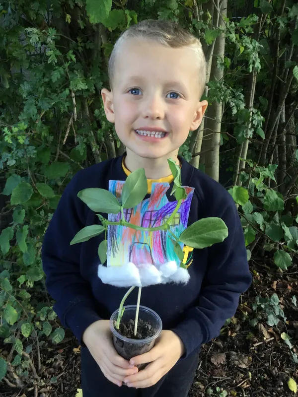 Gallery - created at 2020-02-19 14:54:52 - image 2