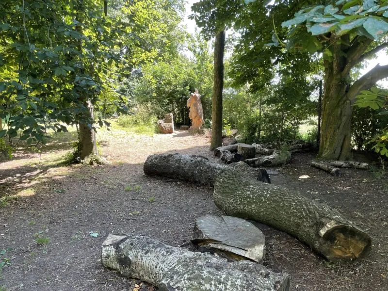 Year 3 - Photo Gallery - image 5