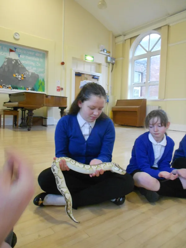Y6 Reptile Rendezvous - image 49